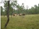 457 Mt Forbes Road, Mount Forbes QLD 4340