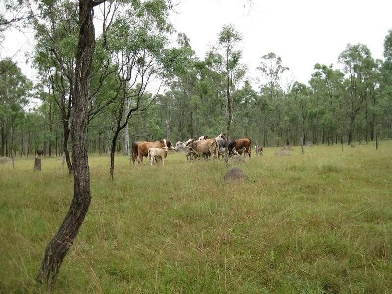 457 Mt Forbes Road, Mount Forbes QLD 4340