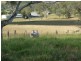 177 Limestone Ridges Road, Limestone Ridges QLD 4305