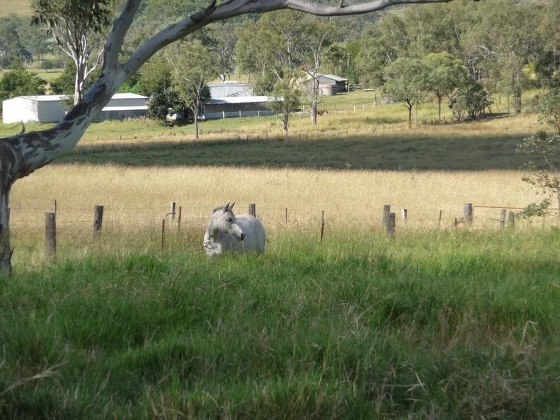 177 Limestone Ridges Road, Limestone Ridges QLD 4305