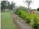77 Velvet Street, Pine Mountain QLD 4306