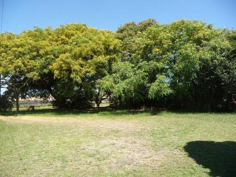 183 Raceview Street, Raceview QLD 4305