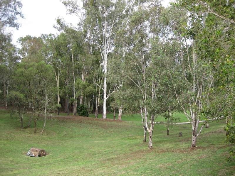 6 Flametree Close, Flinders View QLD 4305