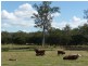 397 Hiddenvale Road, Calvert QLD 4340