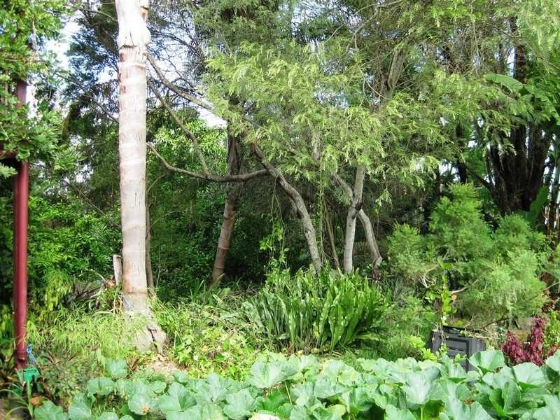 3 Hill Street, North Ipswich QLD 4305