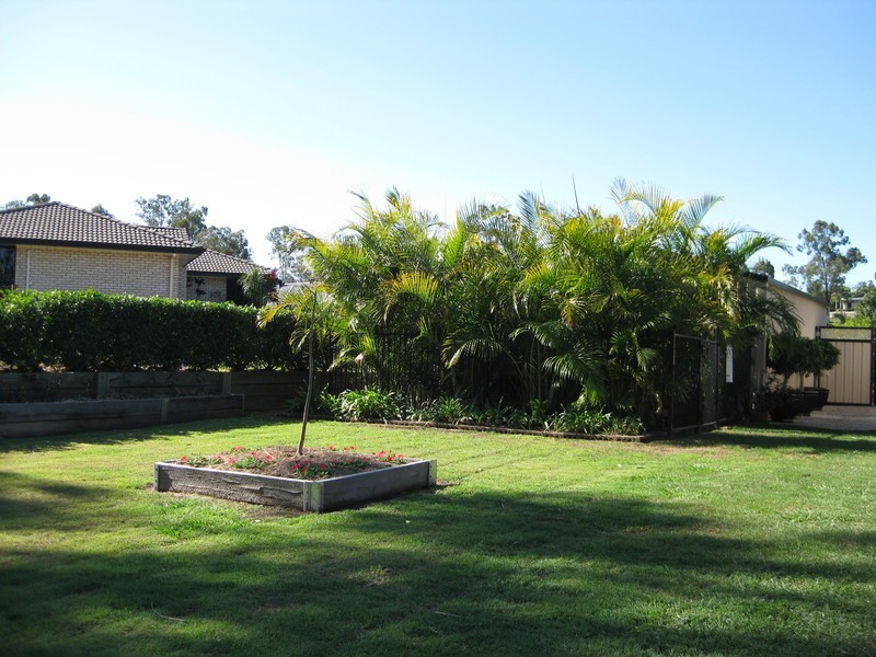 16 Pinto Place, Pine Mountain QLD 4306