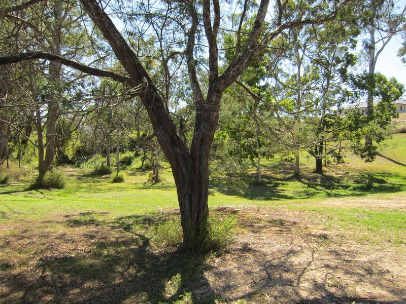 Lot 1,  High Street, Blackstone QLD 4304