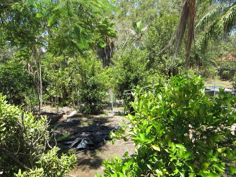 11 Weldon Street, North Ipswich QLD 4305