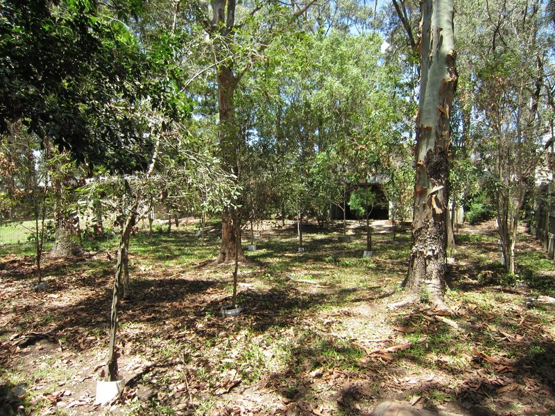 11 Weldon Street, North Ipswich QLD 4305