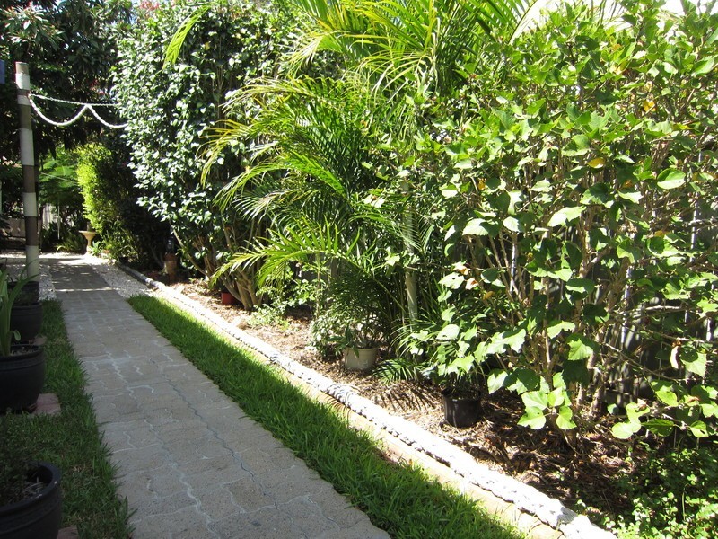 43 Chalk Street, Leichhardt QLD 4305