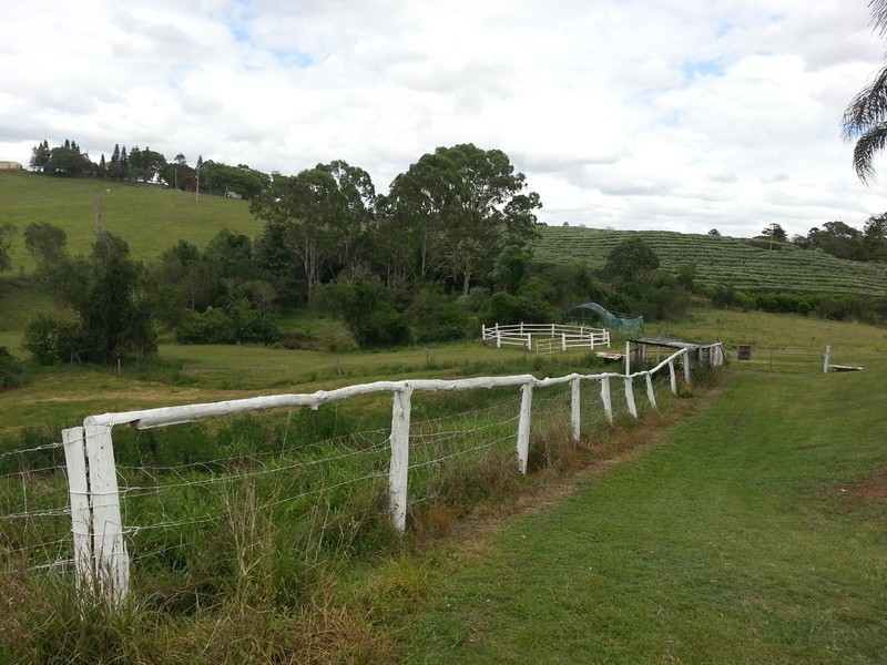 226 Russells Road, Pine Mountain QLD 4306