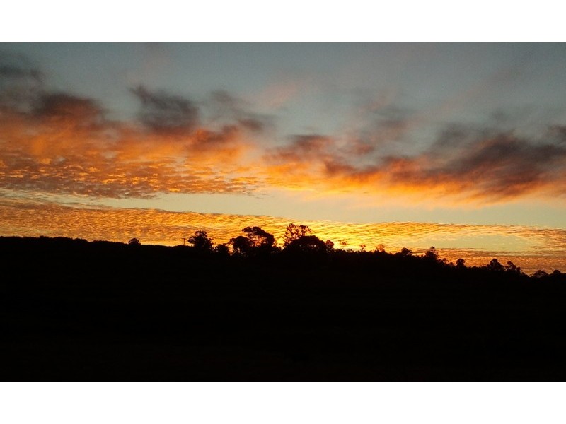 226 Russells Road, Pine Mountain QLD 4306