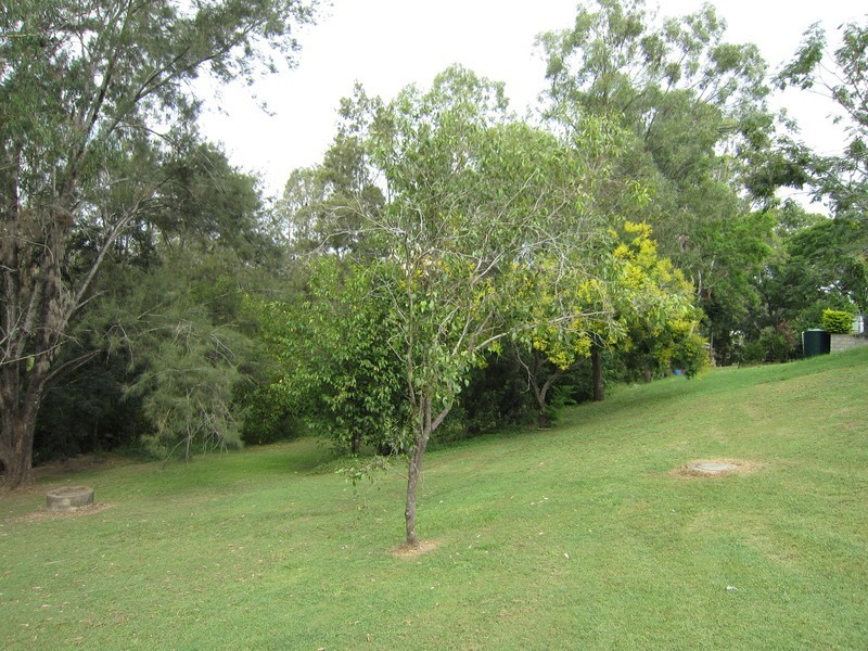 13 Beechwood Drive, Yamanto QLD 4305