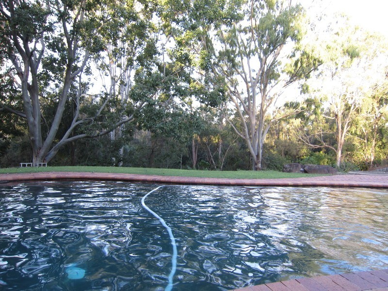19 Beechwood Drive, Yamanto QLD 4305