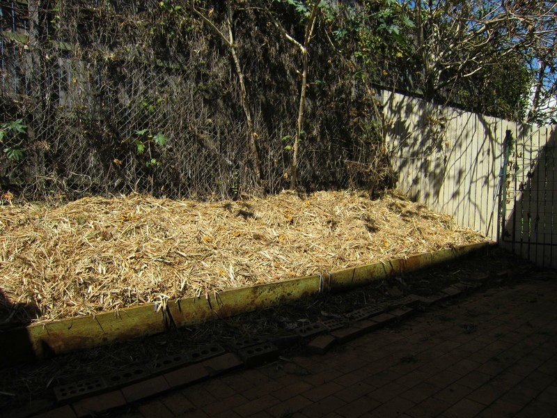 3/12 Bergin Street, Booval QLD 4304