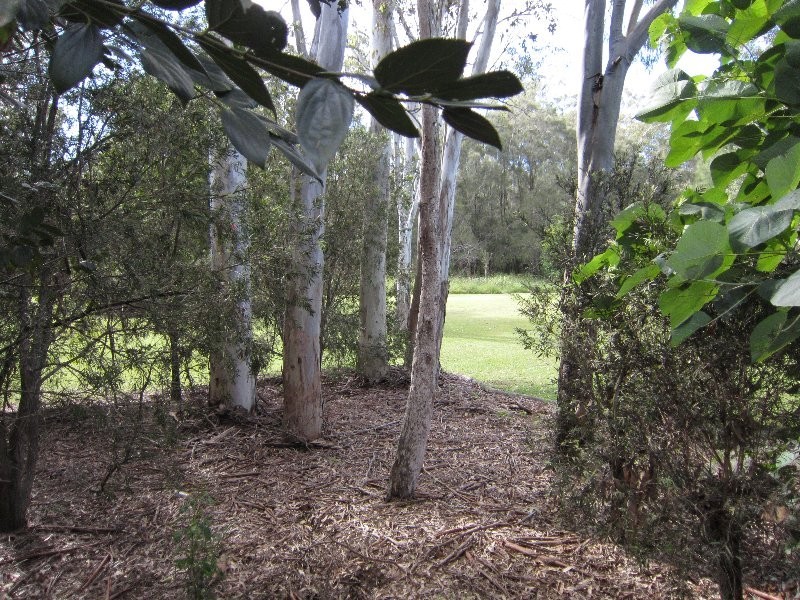 10 Arabian Close, Yamanto QLD 4305