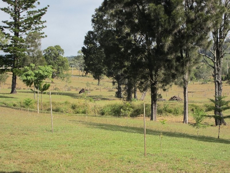 411 Thagoona Haigslea Road, Mount Marrow QLD 4306