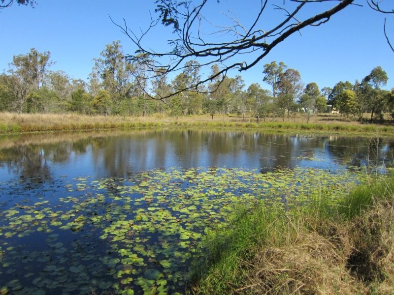 19 Henry Road, Haigslea QLD 4306