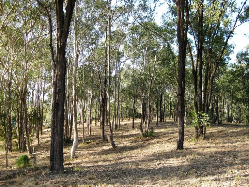 35 Holdsworth Road, North Ipswich QLD 4305