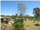 21 Wisteria Street, Walloon QLD 4306