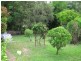 67 Pine Street, North Ipswich QLD 4305