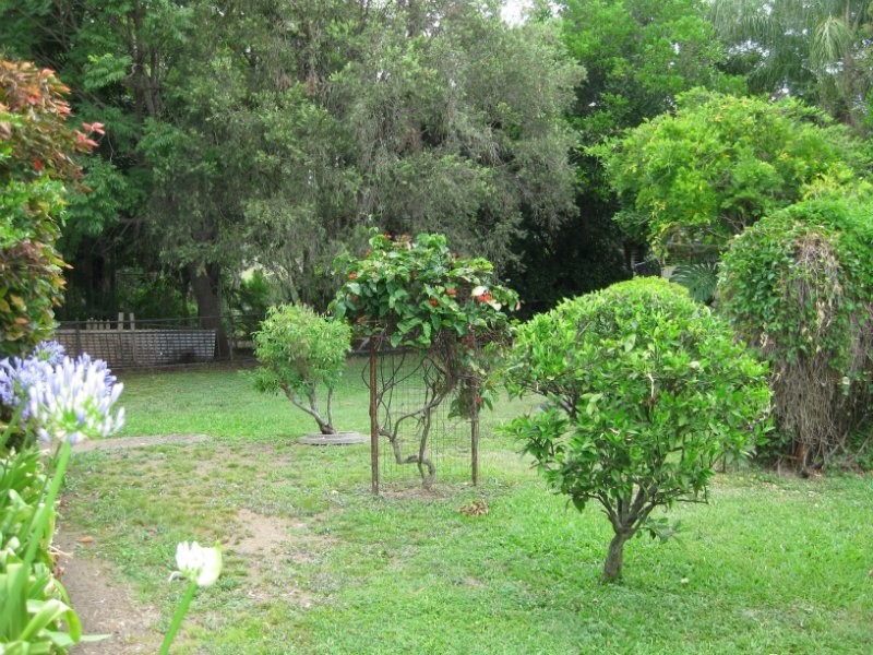 67 Pine Street, North Ipswich QLD 4305