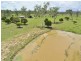 763 Ipswich Boonah Road, Purga QLD 4306