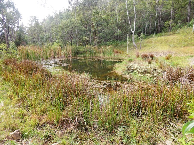 7157 Cunningham Highway, Mount Edwards QLD 4309