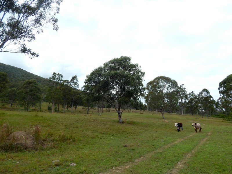 7157 Cunningham Highway, Mount Edwards QLD 4309