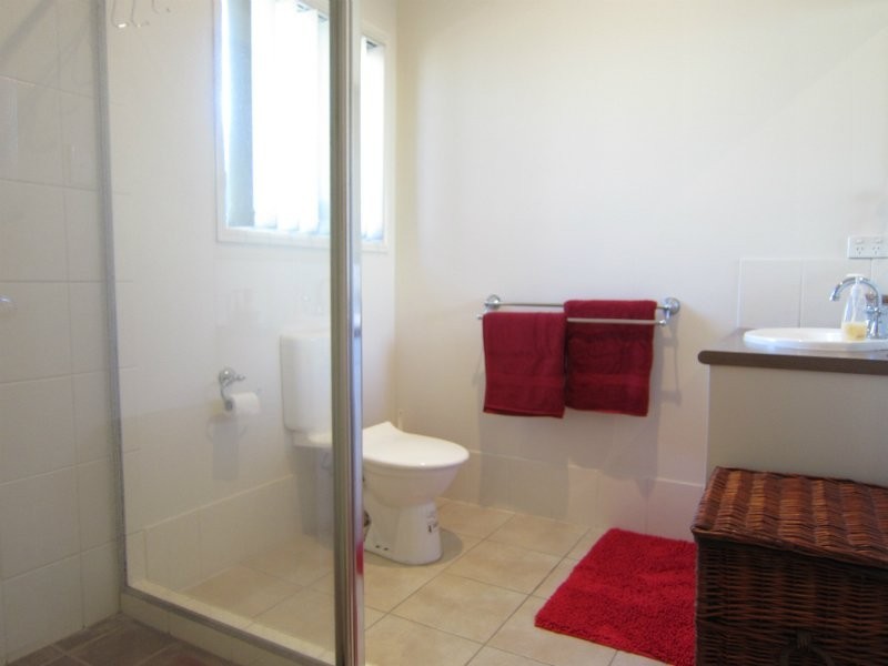 13 McDougall Close, Silkstone QLD 4304