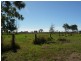 1295-1299 Ipswich Boonah Road, Peak Crossing QLD 4306