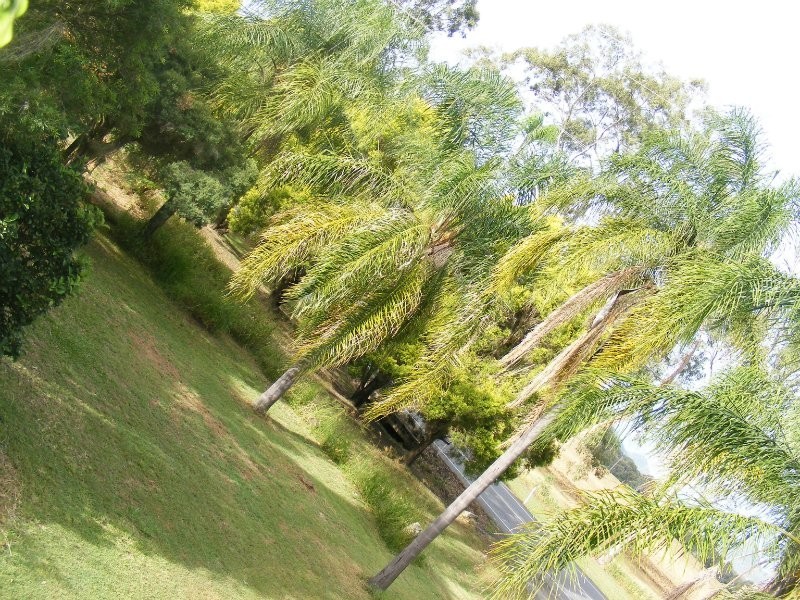 1295-1299 Ipswich Boonah Road, Peak Crossing QLD 4306