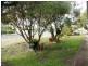 43 Grange Road, Eastern Heights QLD 4305