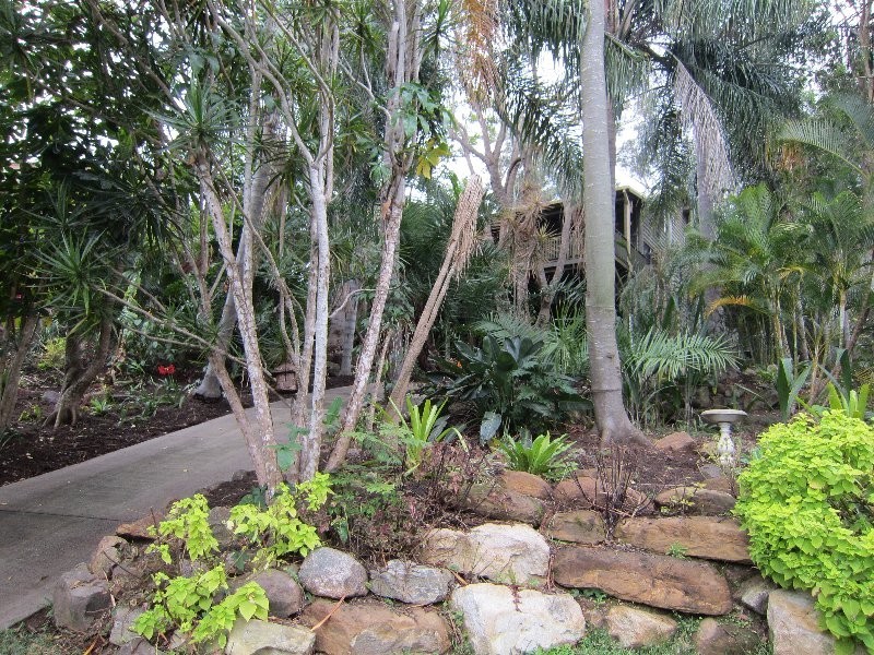 36 Lorrikeet Street, Bundamba QLD 4304