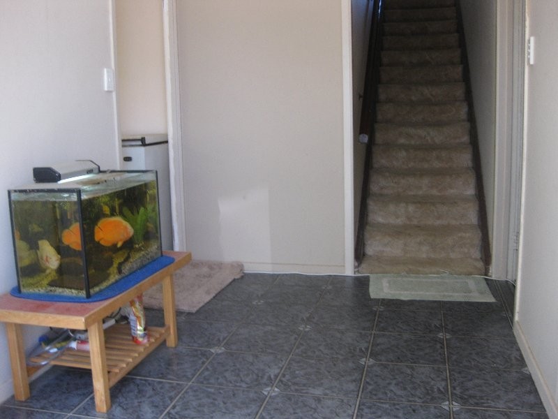 7 Galah Street, Churchill QLD 4305