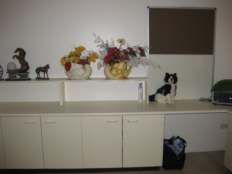 28 Hall Street, Yamanto QLD 4305