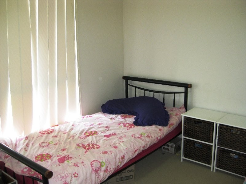 17 Ronayne Circuit, One Mile QLD 4305