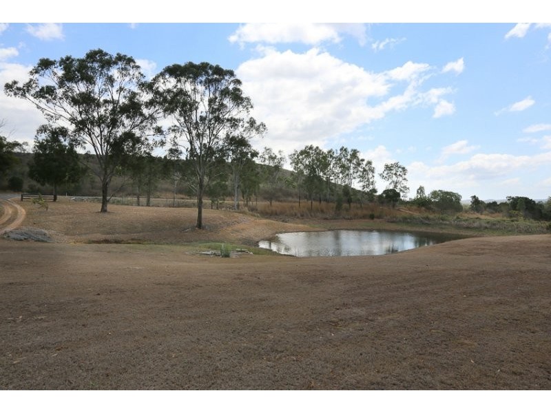 37 Mount Larcom Bracewell Road, Mount Larcom QLD 4695