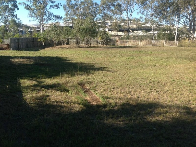 5 Banjo Court, Glen Eden QLD 4680