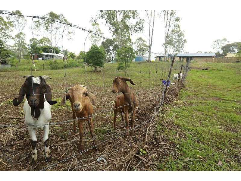 30 McIntosh Road, Beecher QLD 4680