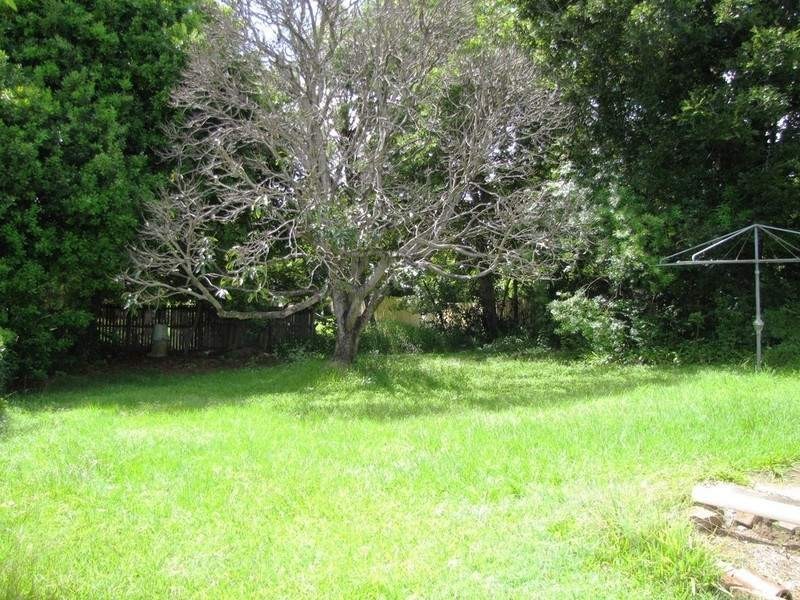 52 Macaulay Street, Coorparoo QLD 4151