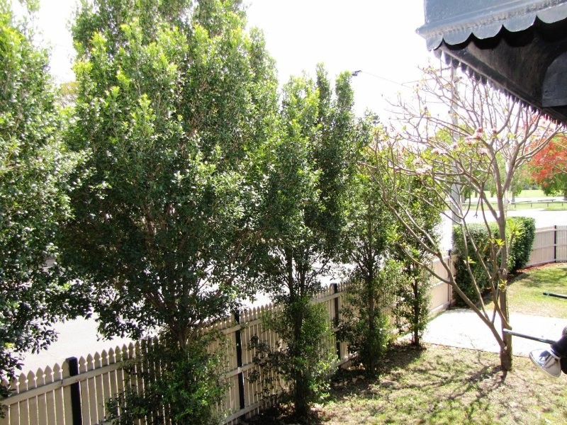 3 Swan Terrace, Windsor QLD 4030