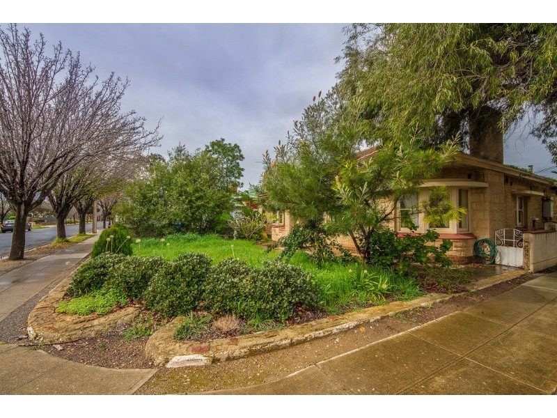 16 Redin Street, Richmond SA 5033