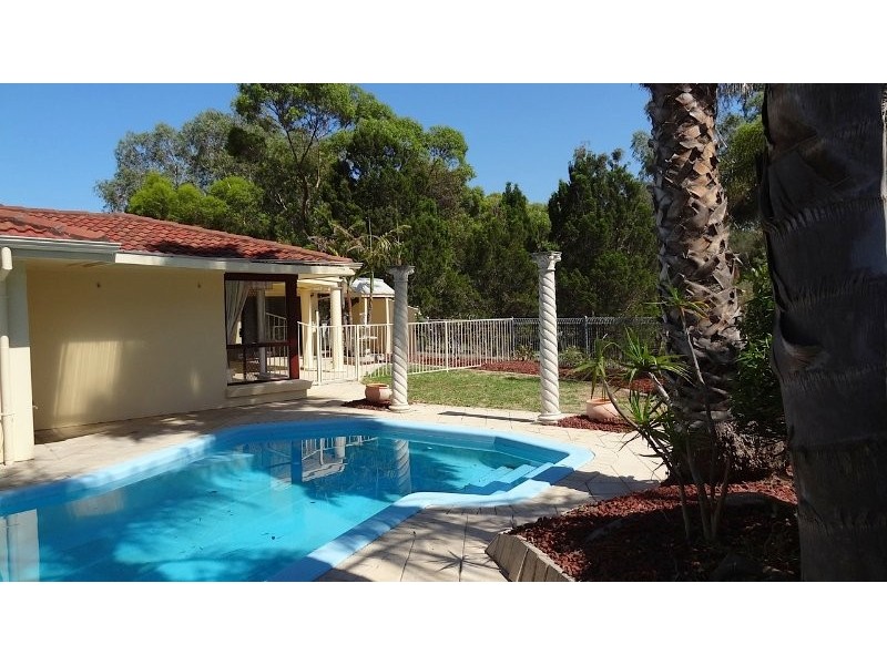 11 Berryfry Avenue, Athelstone SA 5076