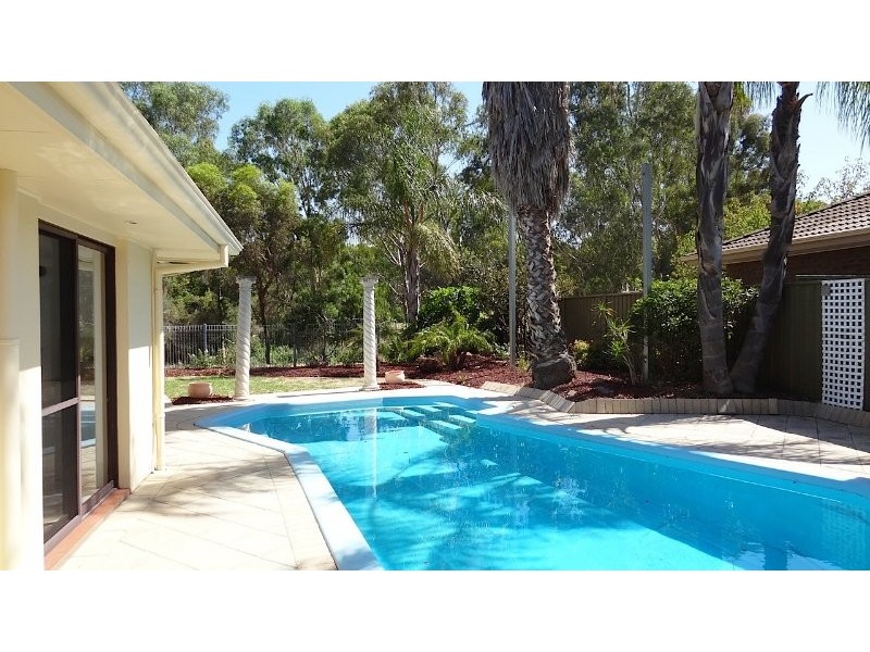 11 Berryfry Avenue, Athelstone SA 5076