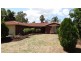 11 Berryfry Avenue, Athelstone SA 5076