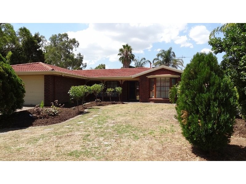 11 Berryfry Avenue, Athelstone SA 5076