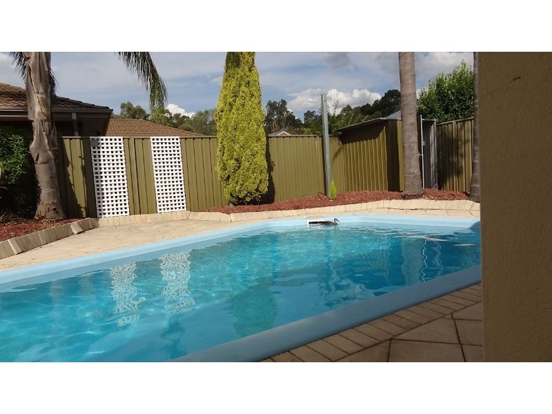 11 Berryfry Avenue, Athelstone SA 5076