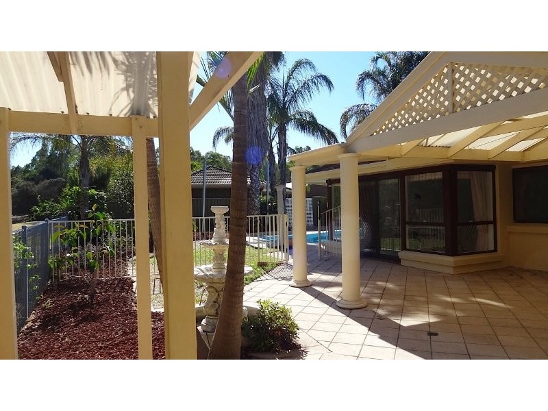 11 Berryfry Avenue, Athelstone SA 5076