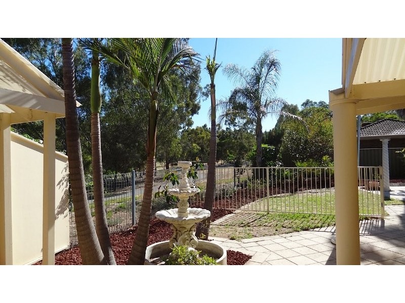 11 Berryfry Avenue, Athelstone SA 5076